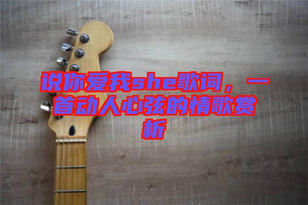 說你愛我she歌詞，一首動人心弦的情歌賞析