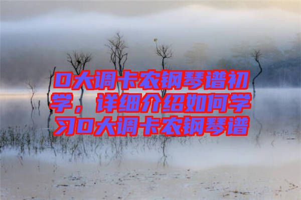 D大調(diào)卡農(nóng)鋼琴譜初學(xué)，詳細(xì)介紹如何學(xué)習(xí)D大調(diào)卡農(nóng)鋼琴譜