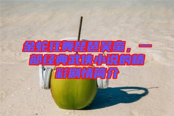 金蛇狂舞琵琶吳蠻，一部經(jīng)典武俠小說的精彩劇情簡介