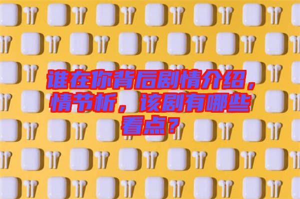 誰在你背后劇情介紹，情節(jié)析，該劇有哪些看點(diǎn)？