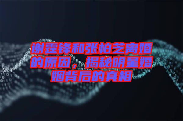 謝霆鋒和張柏芝離婚的原因，揭秘明星婚姻背后的真相