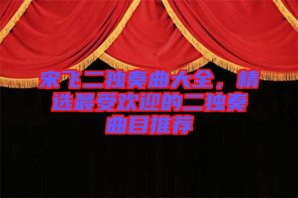 宋飛二獨奏曲大全，精選最受歡迎的二獨奏曲目推薦