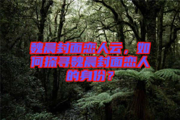 魏晨封面戀人云，如何探尋魏晨封面戀人的身份？