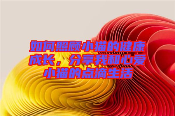 如何照顧小貓的健康成長(zhǎng)，分享我和心愛小貓的點(diǎn)滴生活