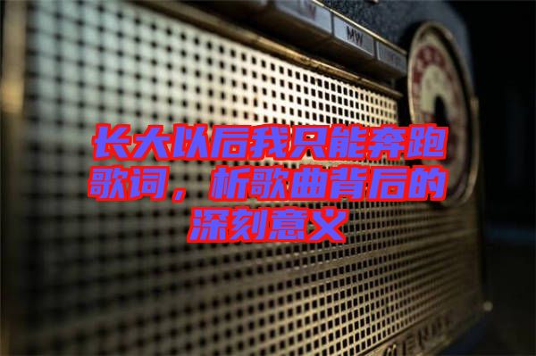 長(zhǎng)大以后我只能奔跑歌詞，析歌曲背后的深刻意義