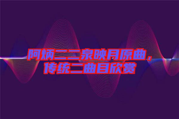 阿炳二二泉映月原曲，傳統(tǒng)二曲目欣賞